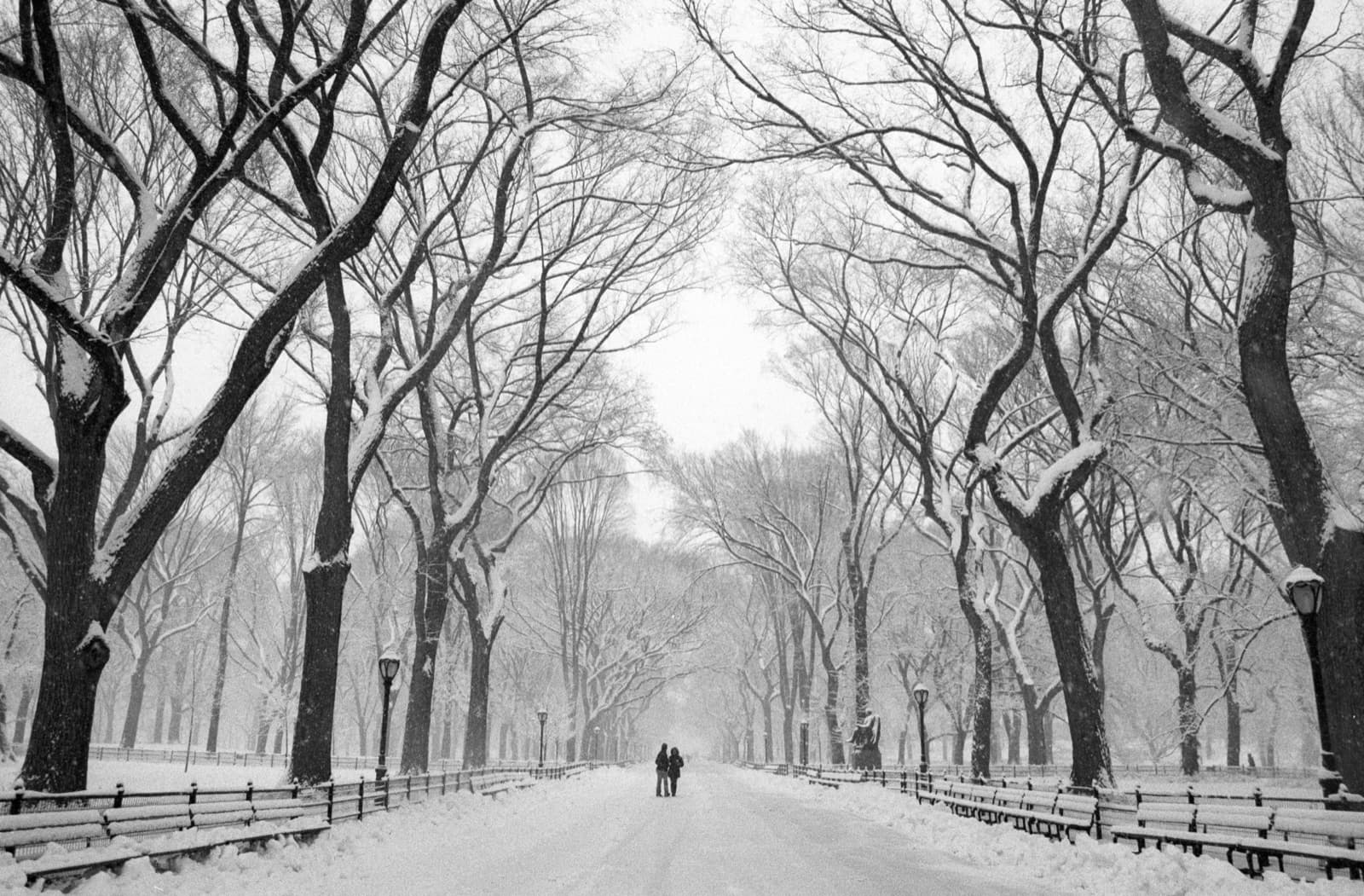 Images — New York, Serene: The Mall in Snow