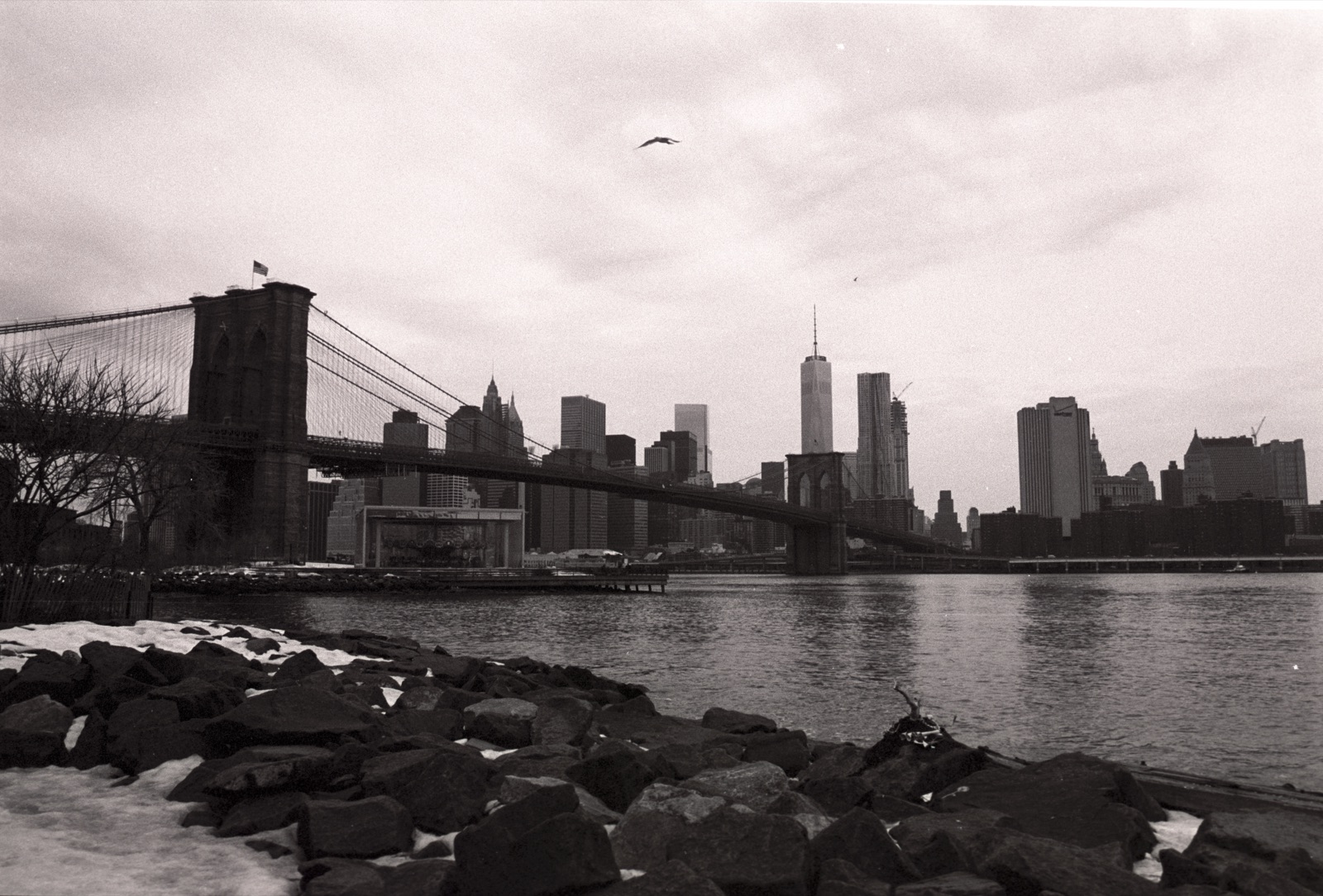 Images — New York: Bridge in Winter Grey
